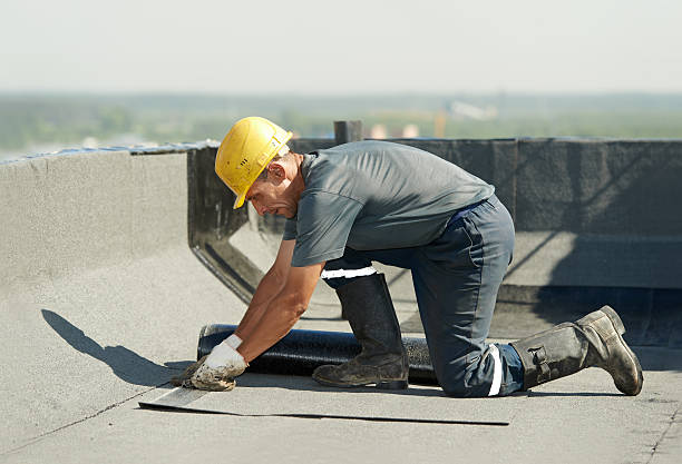 Best Residential Insulation in West Carthage, NY