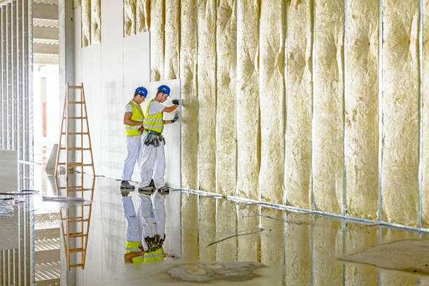 Best Eco-Friendly Insulation in West Carthage, NY